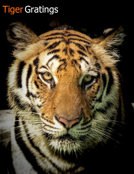 Stair Treads Galvanised-Perforated Nosing Stair Treads Tiger Gratings