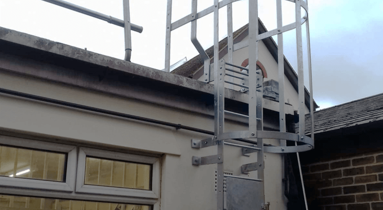 Roof Access Ladder