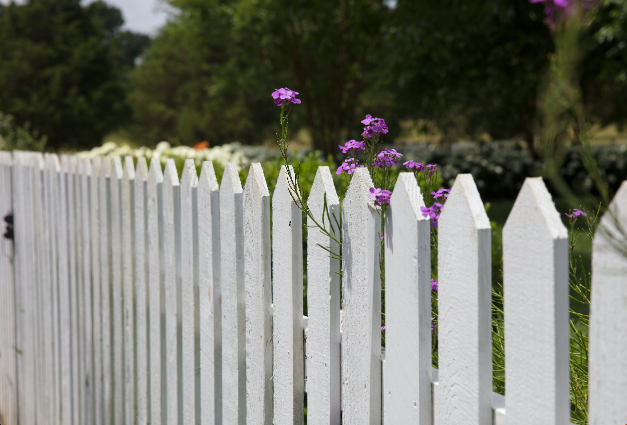 Composite vs Wooden Garden Fencing: Which Is Better?